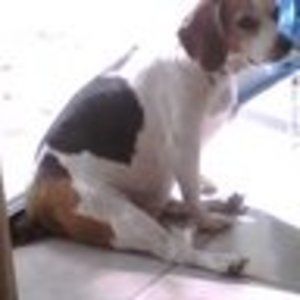 Meet your Posher, Curtis